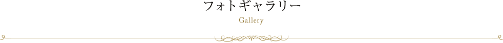 フォトギャラリー Gallery