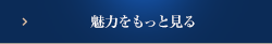 魅力をもっと見る